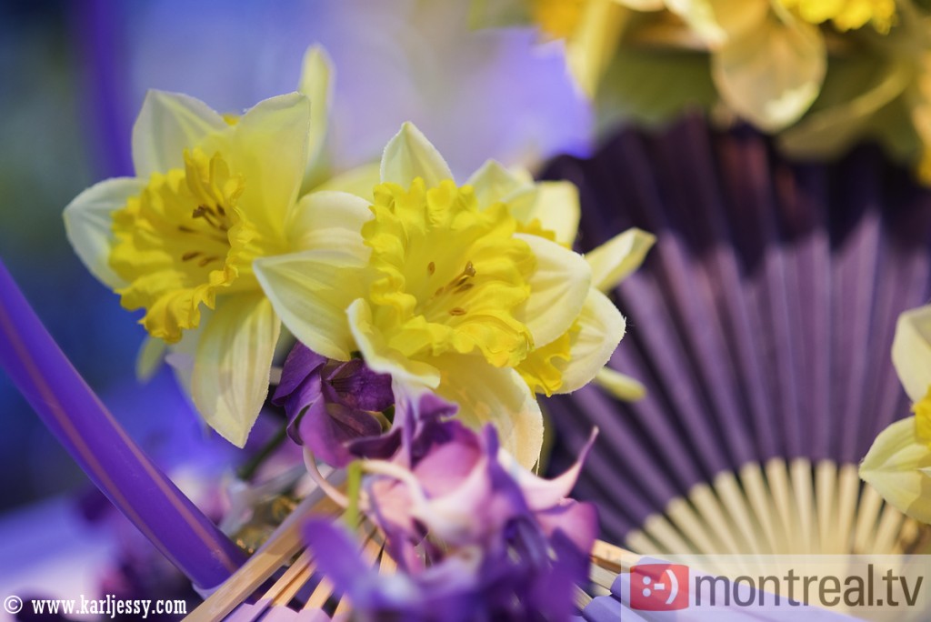 Bal de la Jonquille performance (13)