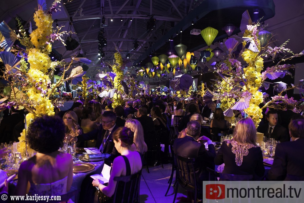 Bal de la Jonquille performance (19)