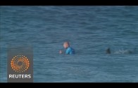 Surfer attaqué par un requin