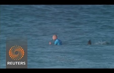 Surfer attaqué par un requin
