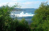 Iceberg s’effondre en mer et c’est spectaculaire