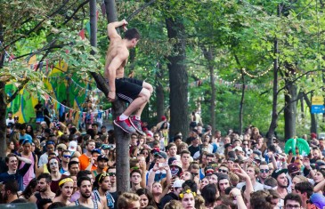 IleSoniq | photos