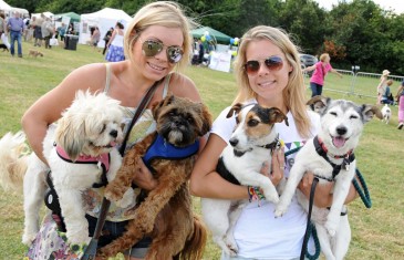 Un tout premier Dog Fest à Montréal