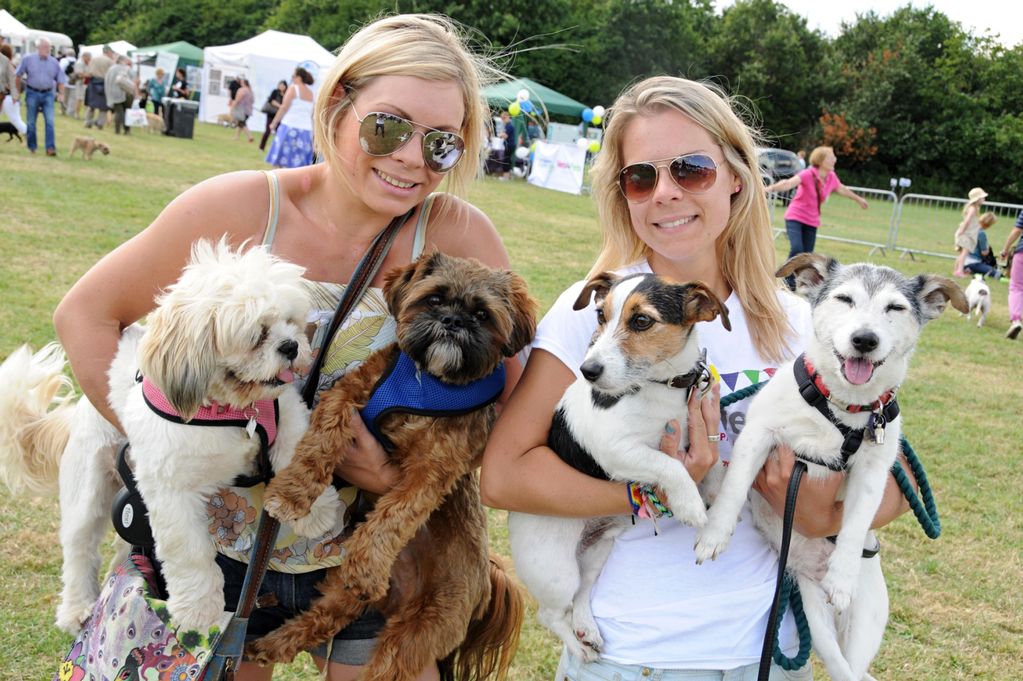 Un tout premier Dog Fest à Montréal