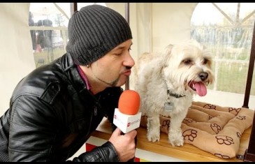 Christopher Williams débarque au premier Dog Fest à Montréal