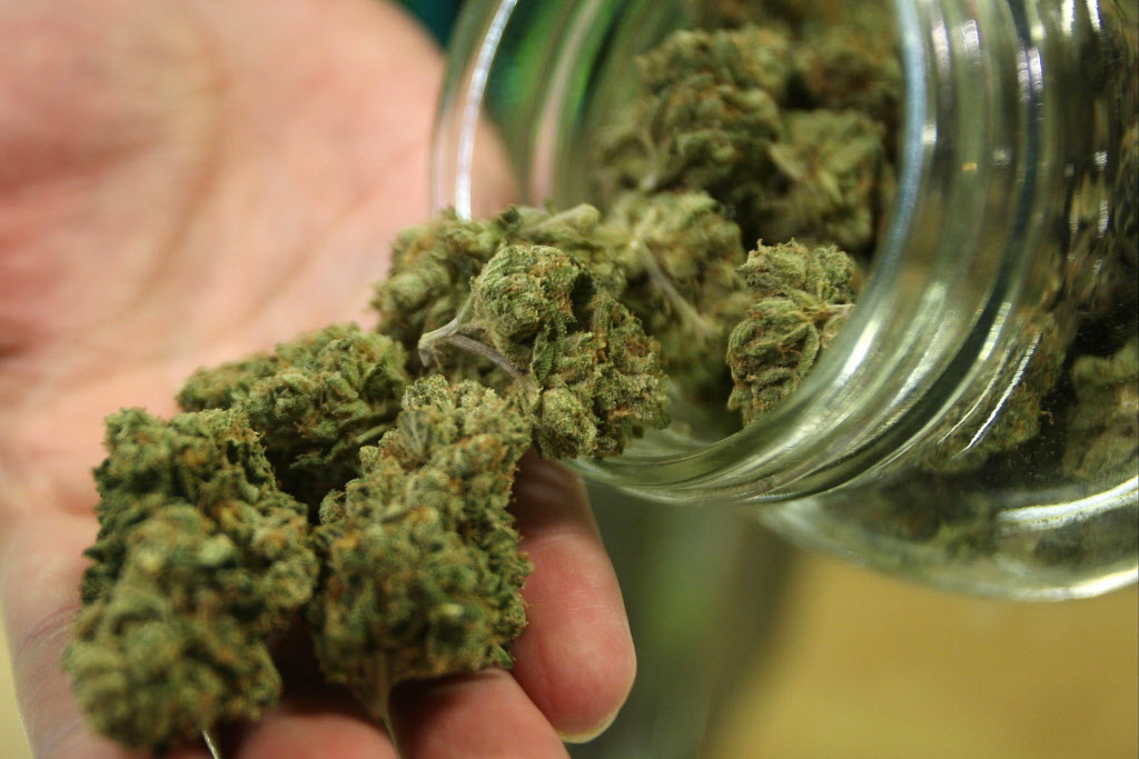 Ô Cannabis: un livre éclairant sur la légalisation du pot au Canada