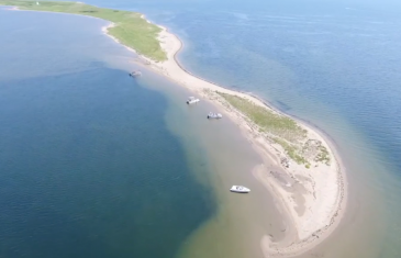 Reportage vidéo | Les nombreuses festivités cet été en Acadie