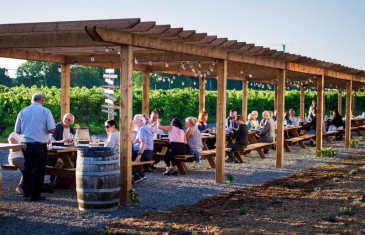 Vignoble Rivière du Chêne: un magnifique endroit pour déguster et pique-niquer à moins de 40 minutes de Montréal