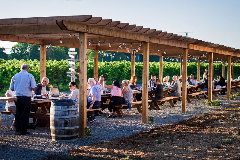 Vignoble Rivière du Chêne: un magnifique endroit pour déguster et pique-niquer à moins de 40 minutes de Montréal