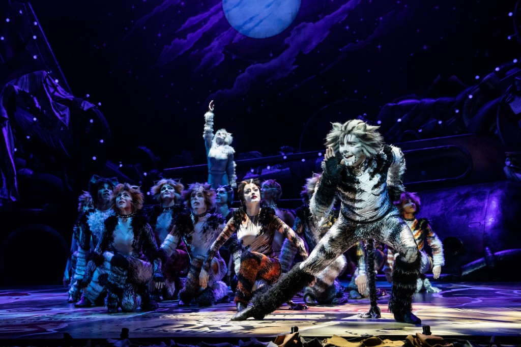 Dan Hoy as 'Munkustrap' and the North American Tour of CATS. Photo by Matthew Murphy.2019-2