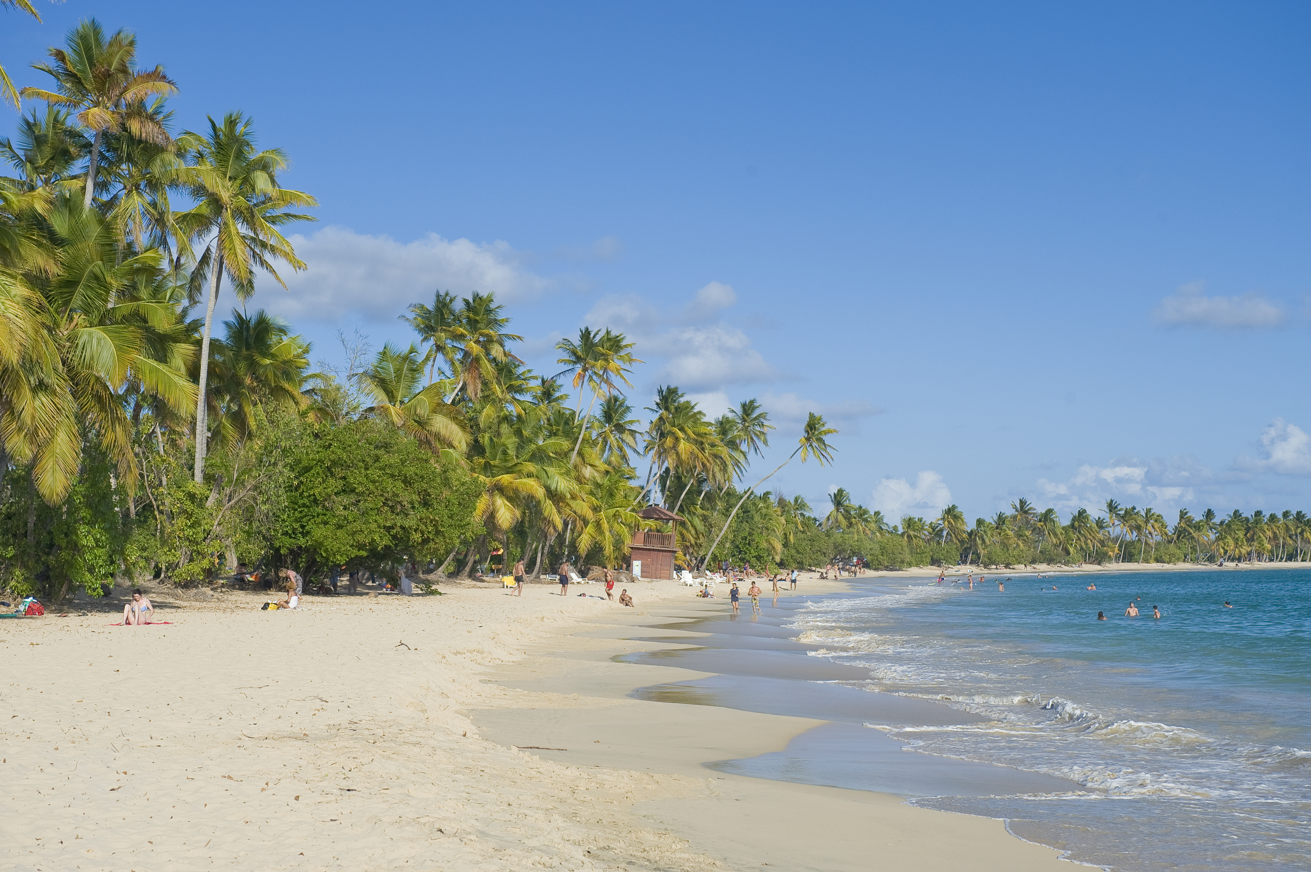 Martinique - Grande Anse des Salines