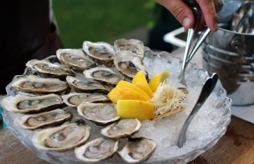 Festival des huîtres dans plusieurs restaurants du Grand Montréal