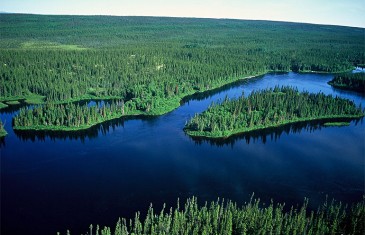 Les produits canadiens les plus exportés : Un monde de richesses